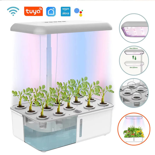 Tuya Wifi Pflanze Hydrokultur System Wachsende LED Licht Soilless Smart Pflanzung Maschine Selbst Bewässerung Indoor Hause Gartenarbeit Pflanzer